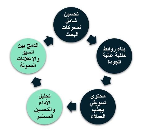 استراتيجيات خبراء رايزهب أفضل شركة تسويق الكتروني تضعك في الصدارة