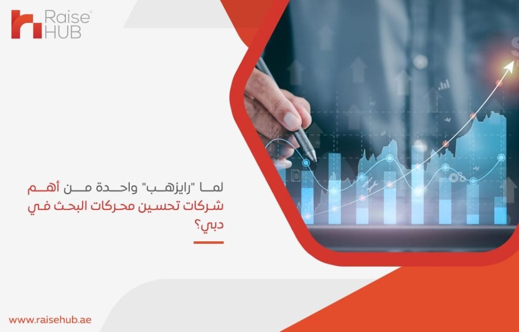 لما-رايزهب-واحدة-من-أهم-شركات-تحسين-محركات-البحث-في-دبي؟
