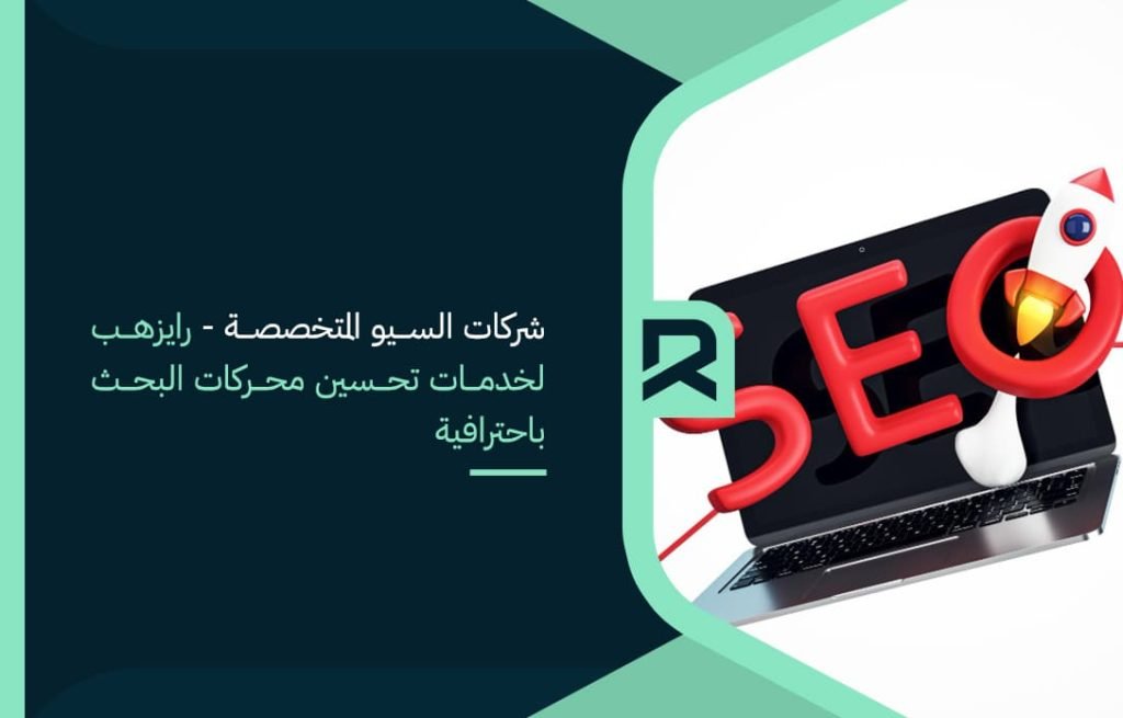 specialized-seo-companies-rayzhub-for-professional-search-engine-optimization-services