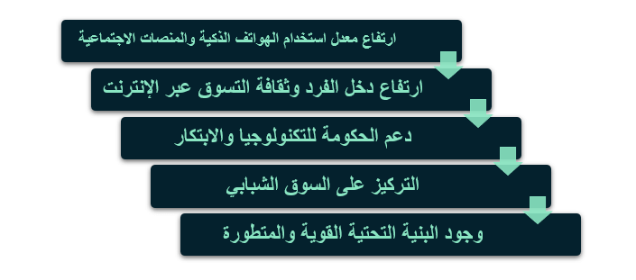 لماذا الإمارات بيئة خصبة للتجارة الاجتماعية؟