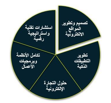 أهم الخدمات التي تقدمها شركات برمجة في مصر