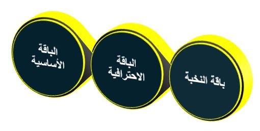 أهم أنواع باقات إدارة السوشيال ميديا في رايزهب