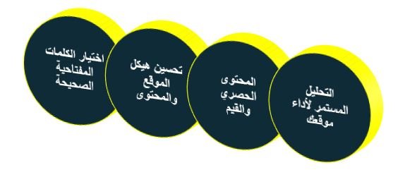 كيف تساعد استراتيجيات رايزهب ل SEO على تصدر نتائج البحث ؟